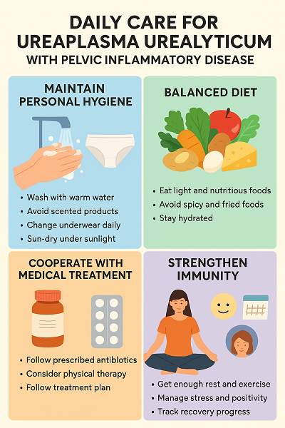 DailyCareTipsforPelvicInflammatoryDiseaseCausedbyUreaplasmaUrealyticum