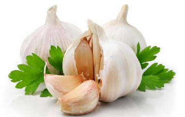 Chlamydia Treatment Home Remedies-garlic