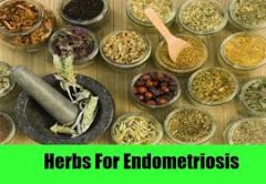 Experts Indicate That Most Patients With Endometriosis Can Be Cured By Natural Remedies