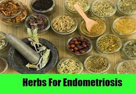 Natural Remedies For Endometriosis