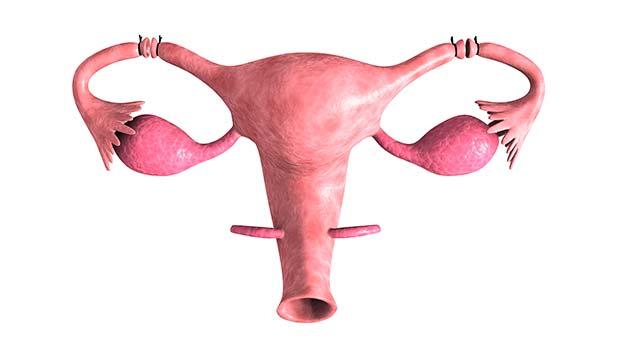 Unblock Fallopian Tubes Naturally Without Surgery and Get Pregnant