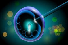 Can Women with Hydrosalpinx Have IVF Successfully?