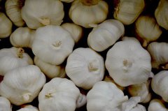 The Therapeutic Effect of Garlic on Gynecological Diseases