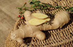 Therapeutic Effect of Ginger on Gynecological Diseases