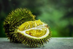 Can Durian Treat Blocked Fallopian Tubes?