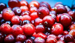 Can Cranberry Treat Blocked Fallopian Tubes?