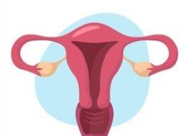 Endometriosis May Result In Increased Menstrual Volume