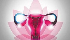 Heavy and Prolong Menstrual Periods? Beware of The Uterus Disease!